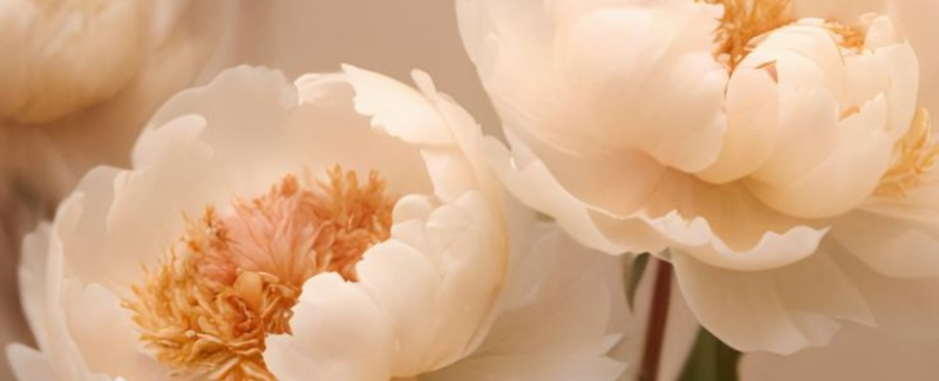 Aria di primavera: scopri la selezione per la casa