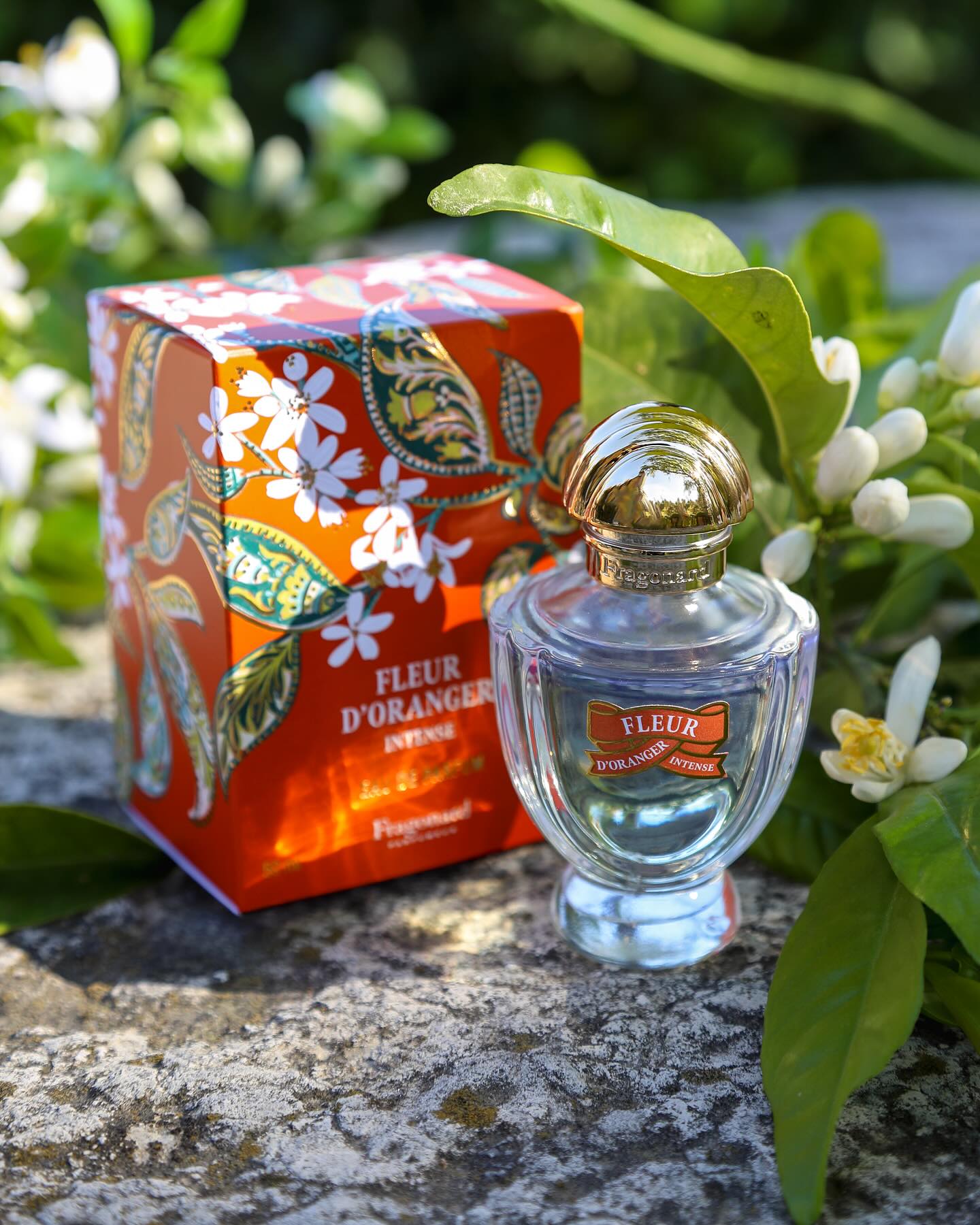 Perfumology