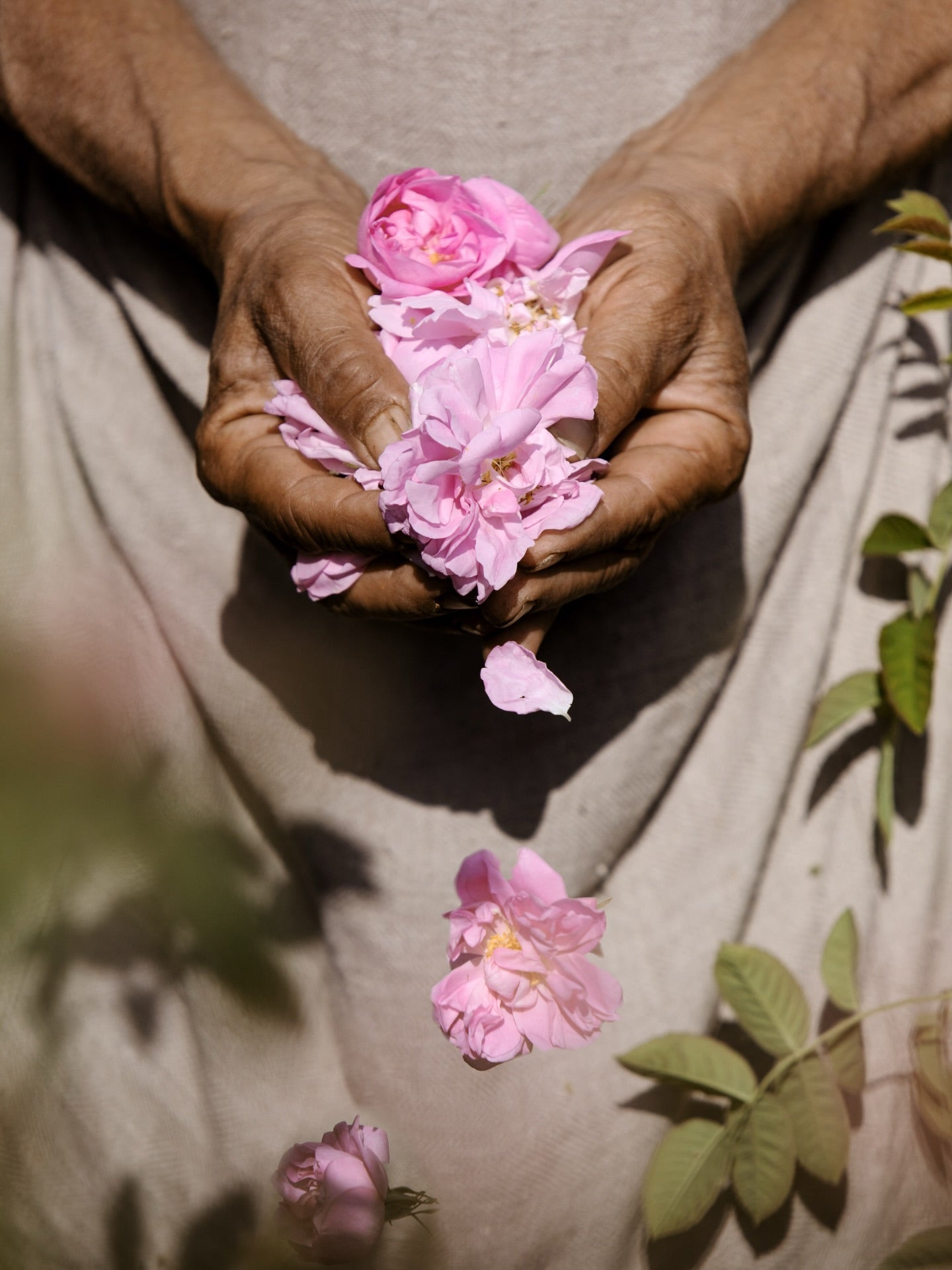 Perfumology