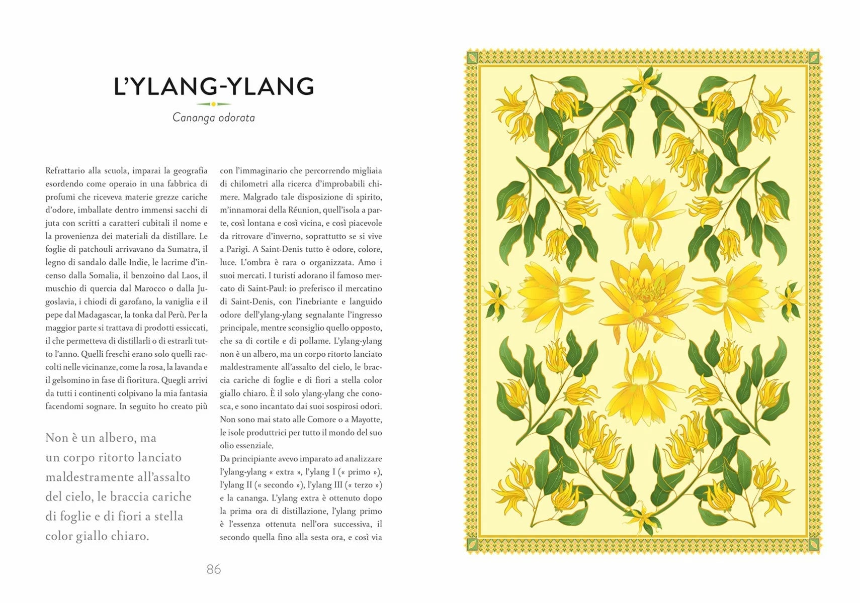 Atlante di Botanica Profumata