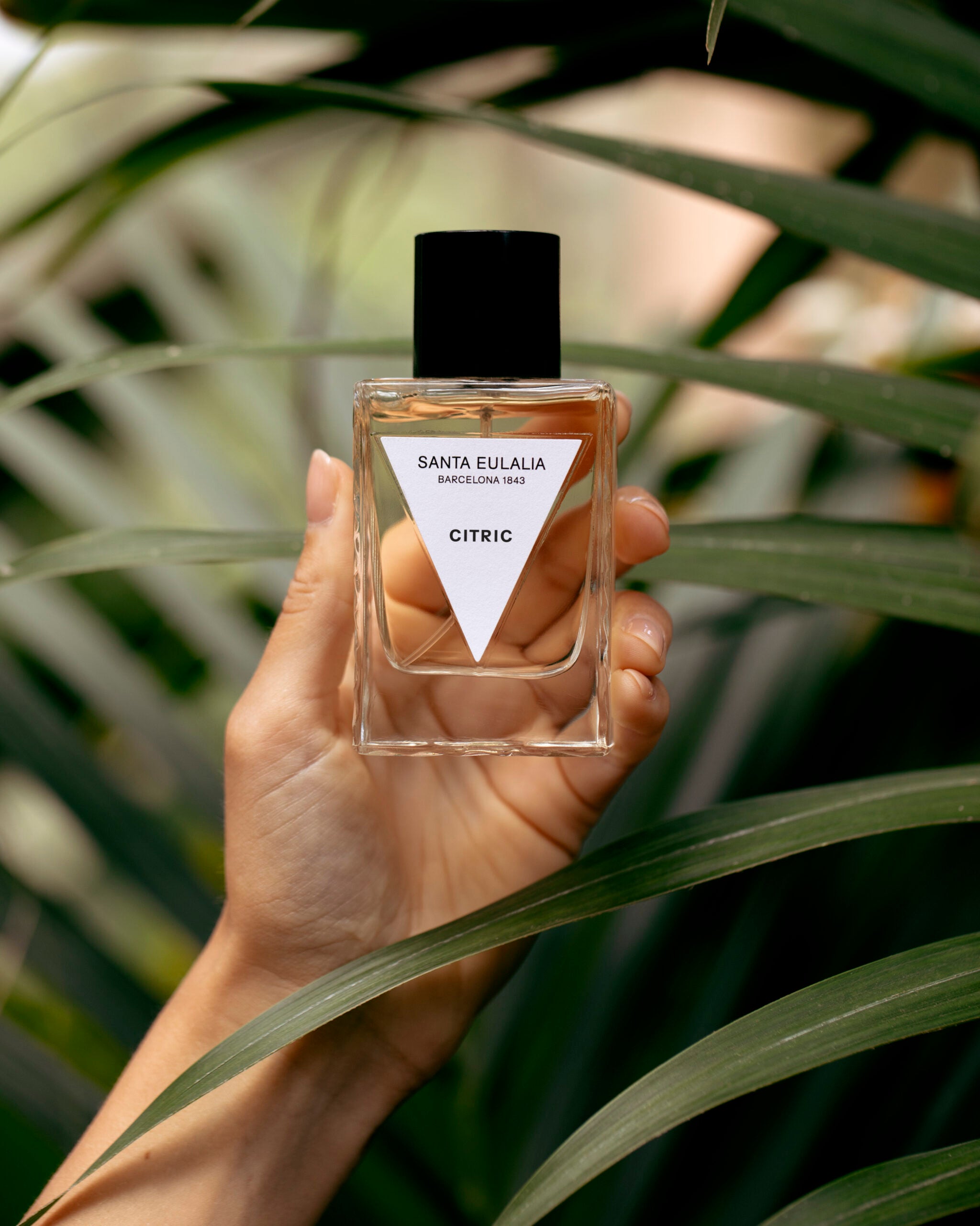 Citric - Eau de Parfum