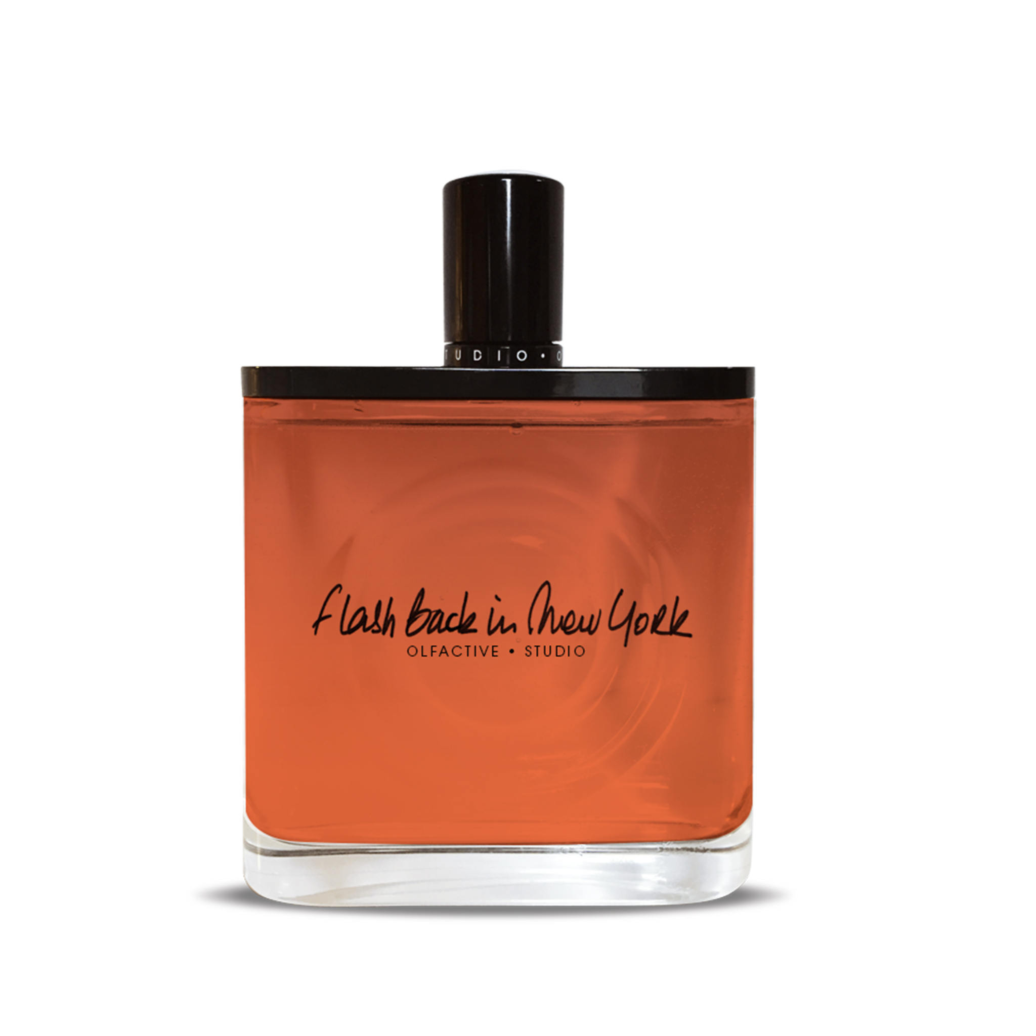 FLASH BACK IN NEW YORK