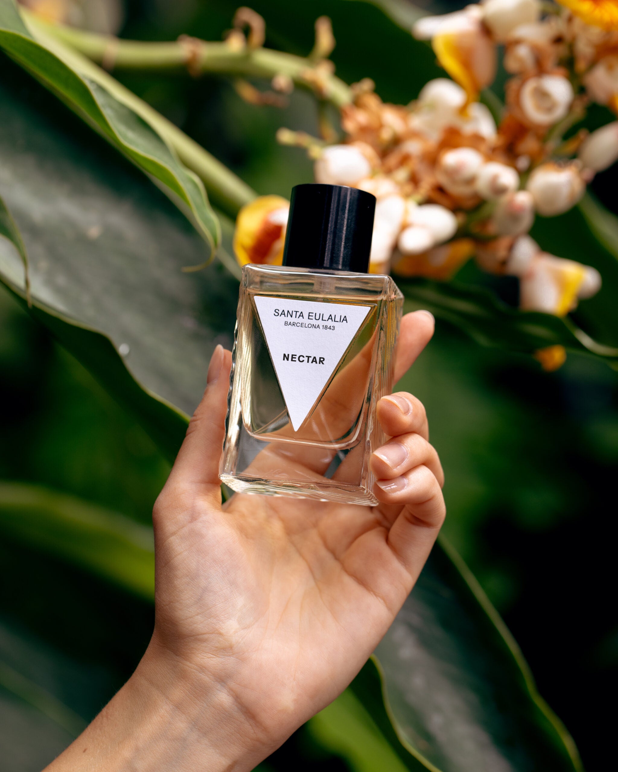 Nectar - Eau de Parfum