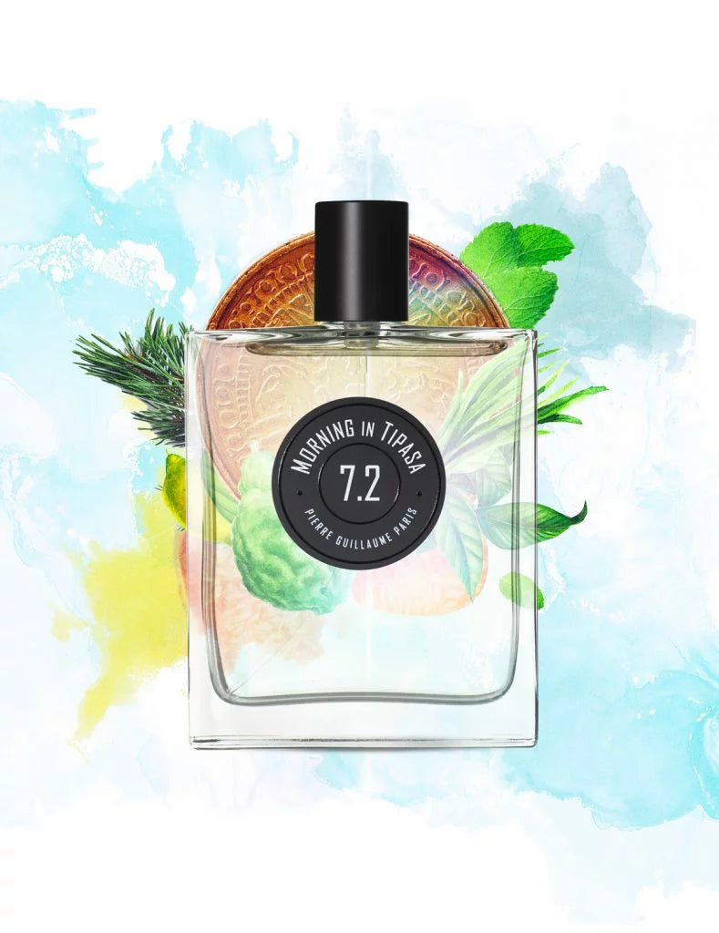 7.2 morning in tipasa