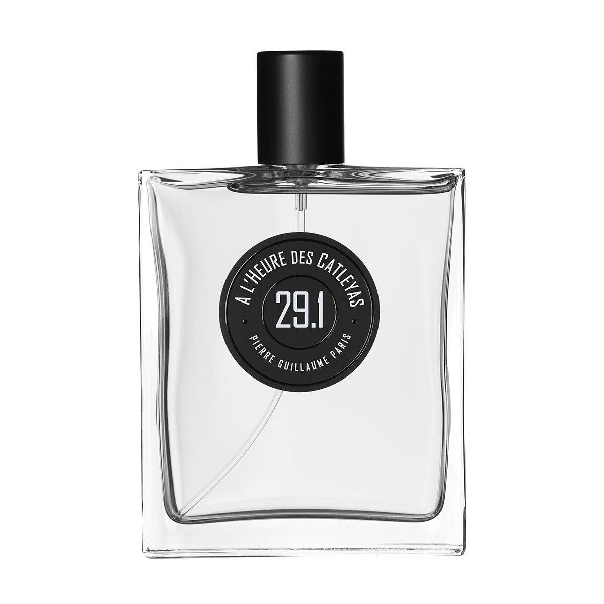 29.1 À L’HEURE DES CATLEYAS