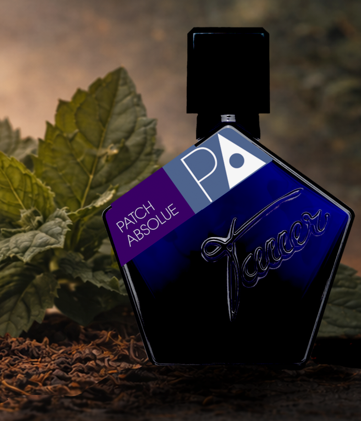 Patch Absolue