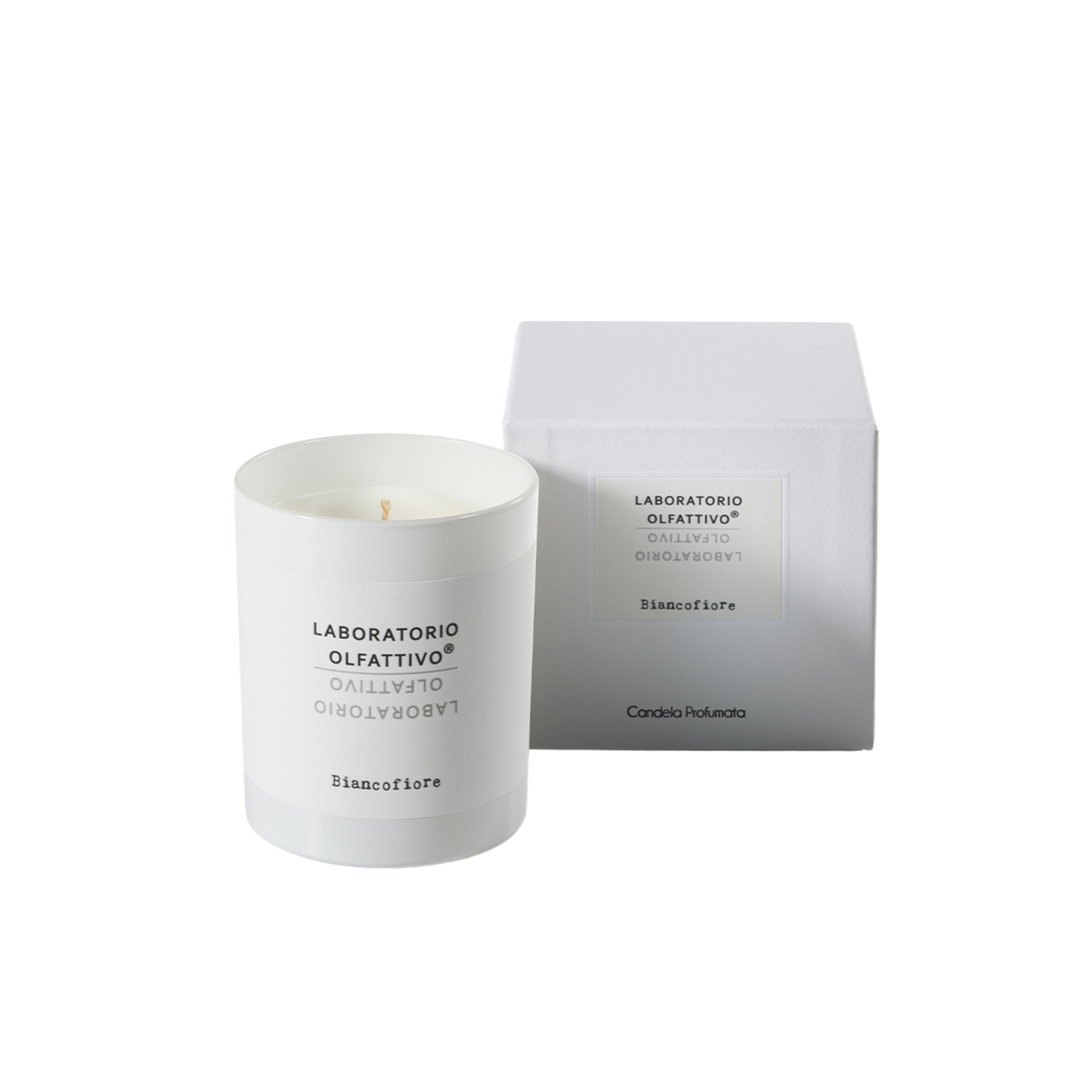 Candela – Biancofiore