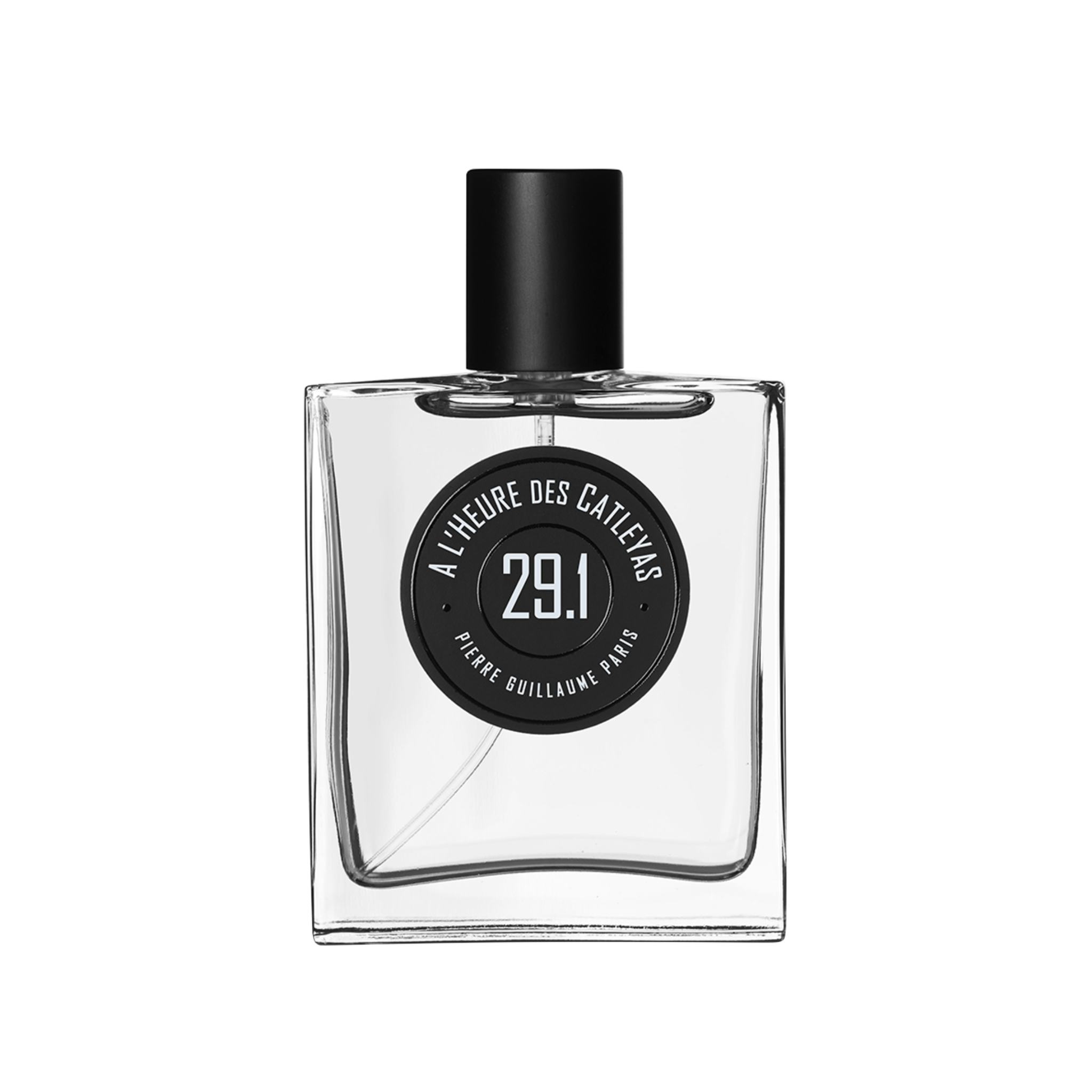 29.1 À L’HEURE DES CATLEYAS