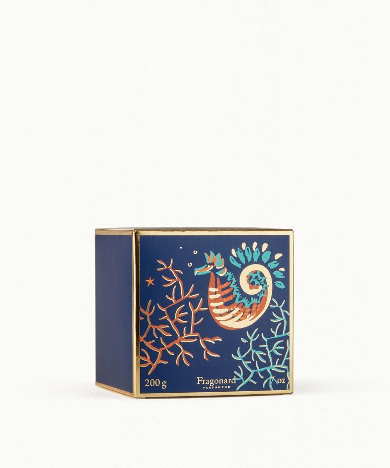 Menthe Basilic Candela