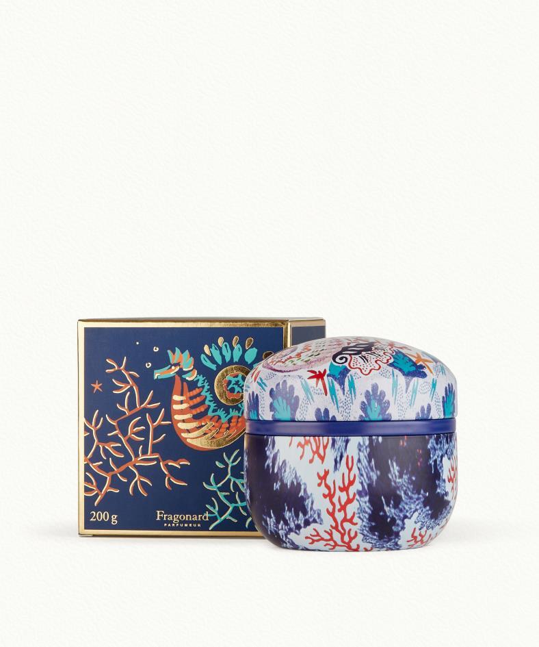 Menthe Basilic Candela