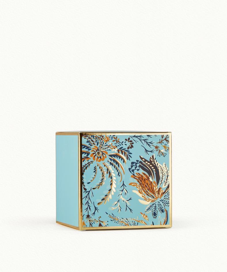 Anis Etoilé Candela