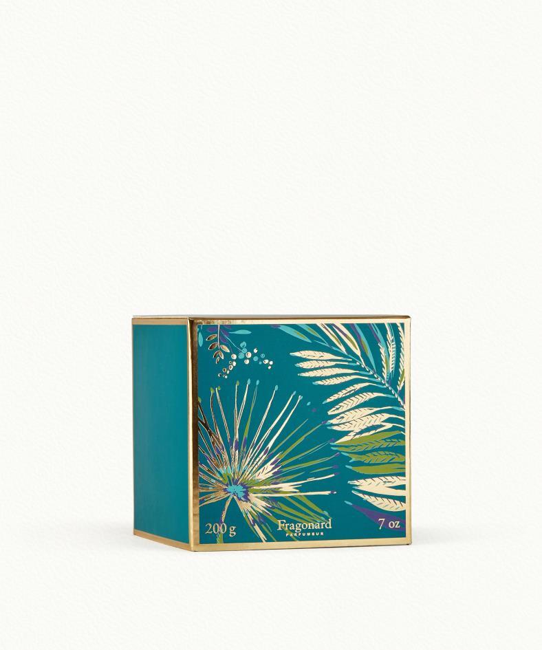 Coriandre Lemongrass Candela