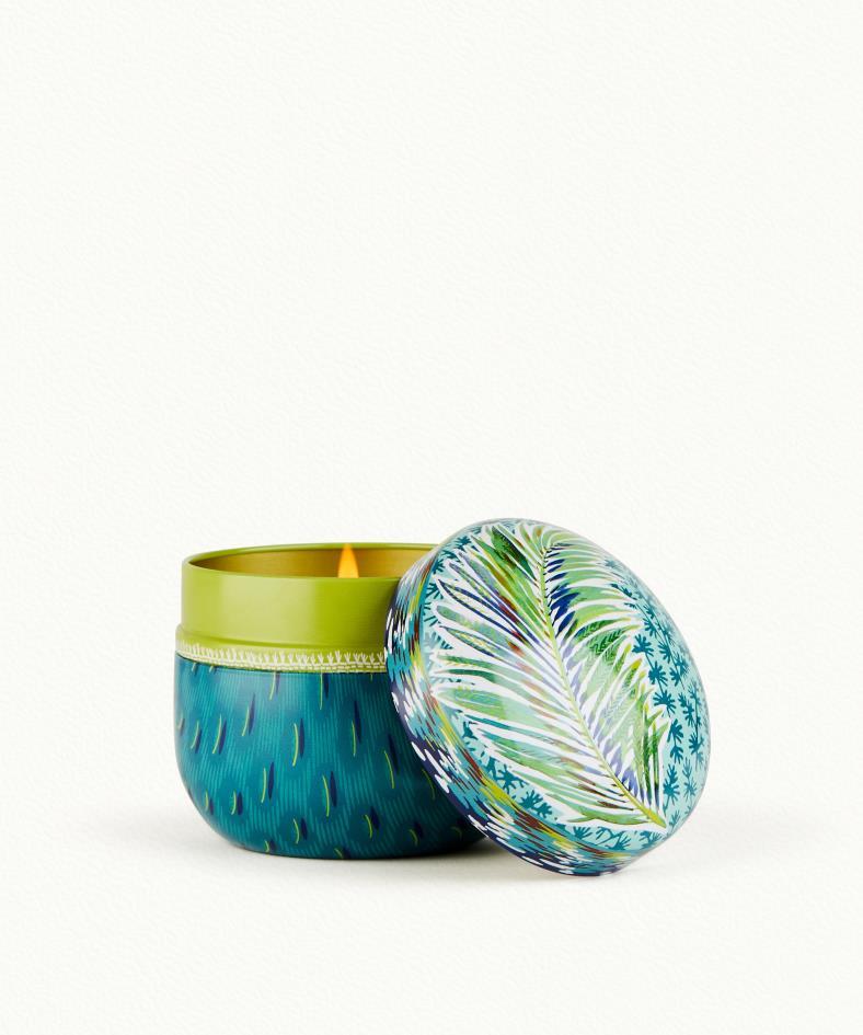 Coriandre Lemongrass Candela