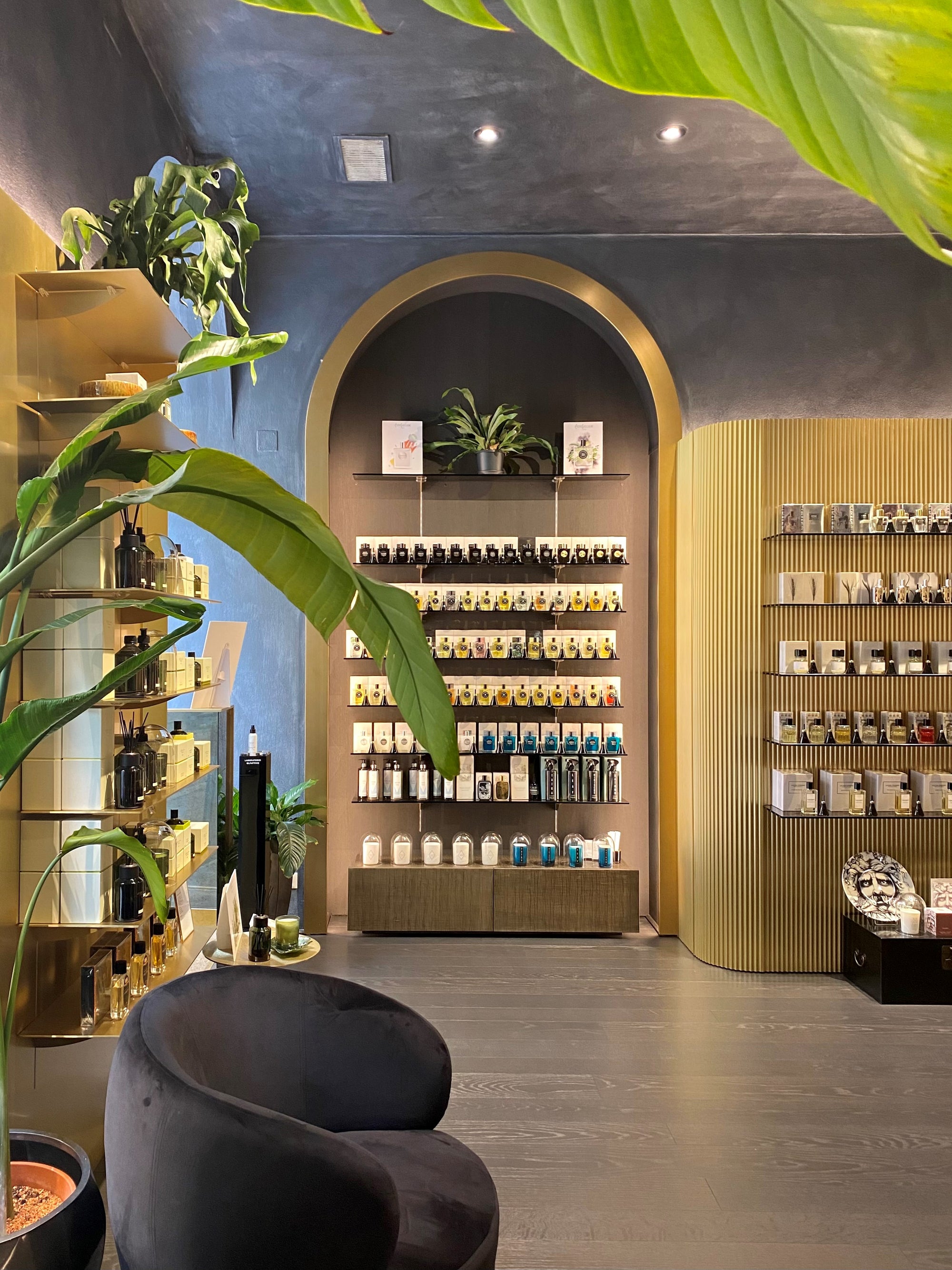 Perfumology