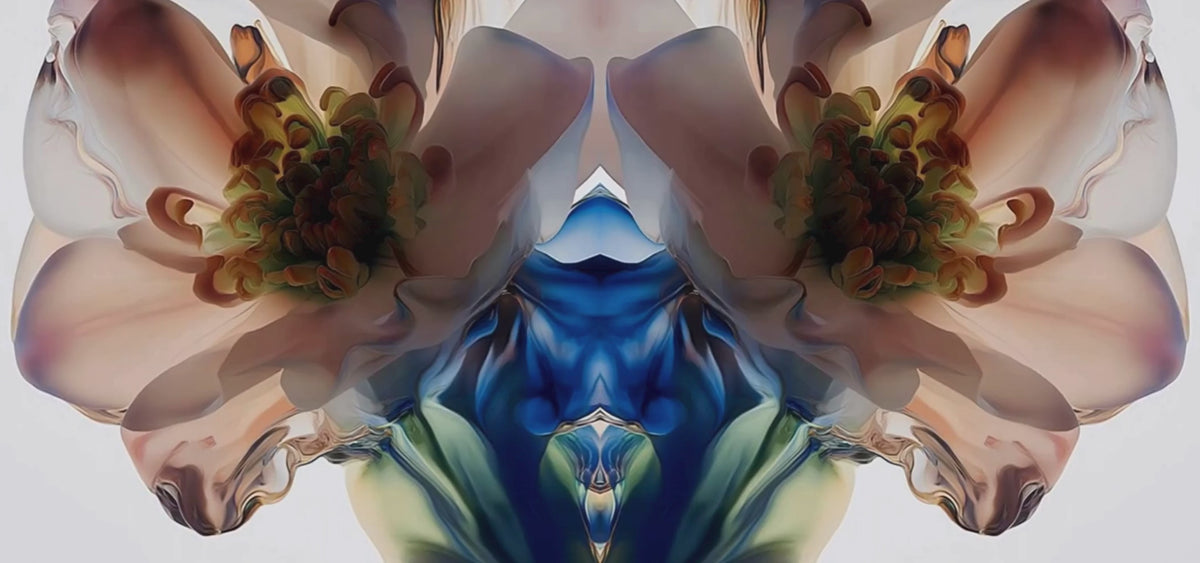Carica video: 
