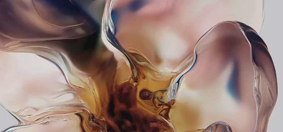 Carica video: 