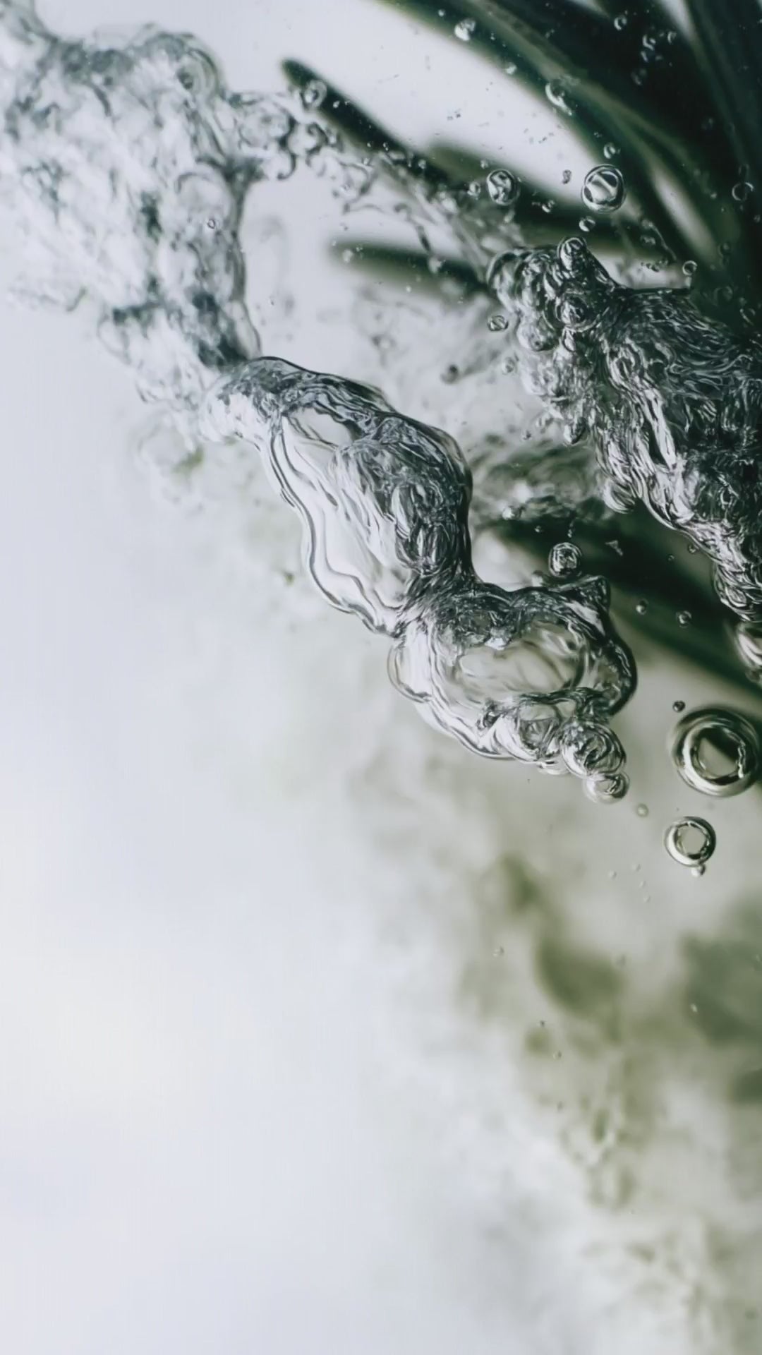 Carica video: 2021 GIN MARE